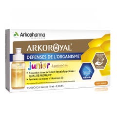 Arkopharma Arkoroyal Pappa reale Junior, Vitamina D3 5x10ml