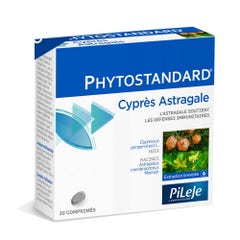 Pileje Phytostandard Cypres Astragale 30 Comprimes Phytostandard 30 comprimés