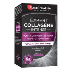 Forté Pharma Expert Beauté Collagene Intenso Antirughe e Tonificante Pelle 14 Stick