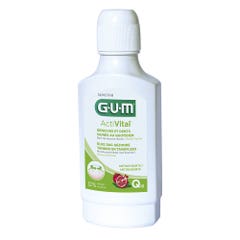 Gum ActiVital Bagno quotidiano per gengive e denti sani Q10 300 ml