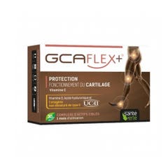 Sante Verte Gcaflex+ 30 Gelule Come funziona la cartilagine
