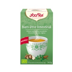Yogi Tea Benessere intestinale 17 bustine di tè biologico Ayurveda