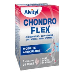 Alvityl Chondroflex Mobilità articolare 60 Compresse