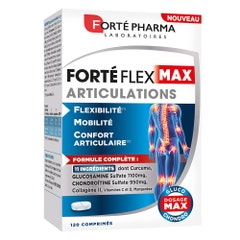 Forté Pharma Forté Flex Articolazioni Flessibilità Mobilità 120 compresse