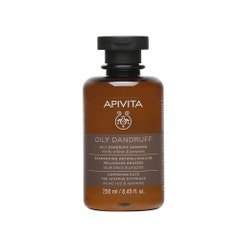 Apivita Shampoo Forfora Grassa Pellicules Grasses 250ml