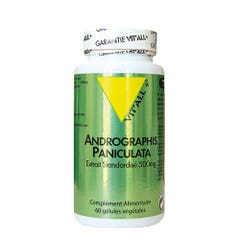 Vit'All+ Andrographis Paniculate 400 mg 60 compresse