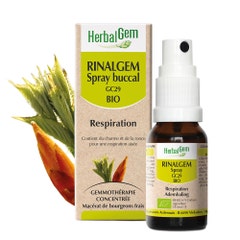 Herbalgem Complexes De Gemmotherapie Rinalgem Respire Spray Organico 15ml