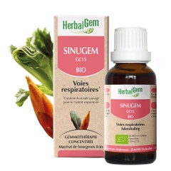 Herbalgem Complexes De Gemmotherapie Sinugem Organico per la Respirazione 30ml