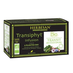 Herbesan Infuso di Transifit con 6 piante Bio x20 bustine