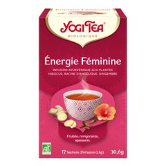 Yogi Tea Energia Femminile Infuso organico Ayurveda 17 Bustine