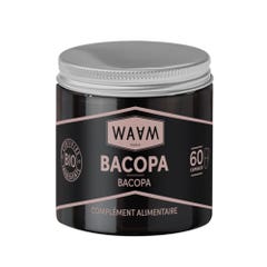 Waam Capsule di Bacopa biologica 60 capsule