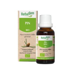 Herbalgem Pino biologico 30ml