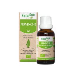 Herbalgem Pervinca Organica 30ml