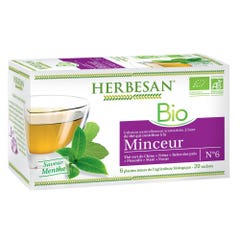 Herbesan Tè verde biologico Aroma di menta 20 bustine