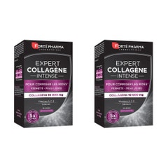 Forté Pharma Expert Beauté Collagene Intense Antirughe e Compattezza della Pelle 2x14 sticks