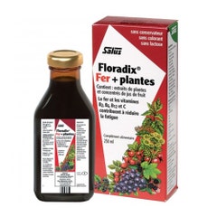 Salus Floradix Ferro + D. Plantes 250ml