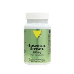 Vit'All+ Boswellia Serrata 230 mg 60 capsule vegetali