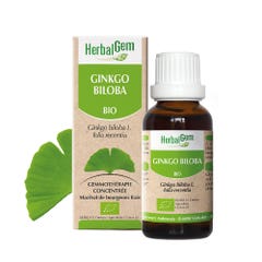 Herbalgem Ginkgo Biloba biologico 30ml