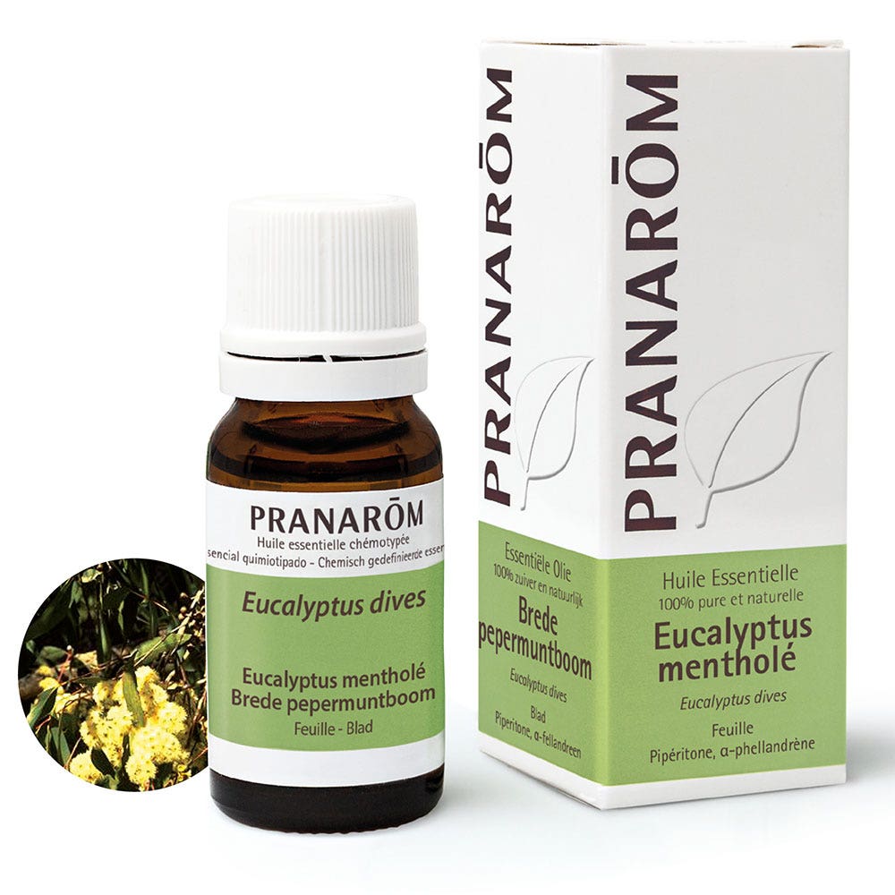 Pranarôm Oli Essenziali Olio essenziale Eucalyptus Menthole 10 ml