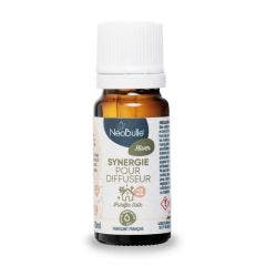 Sinergia per diffusore 10ml hiver Neobulle