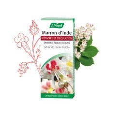 Extrait de plante fraîche Marron d’Inde 50ml A.Vogel France