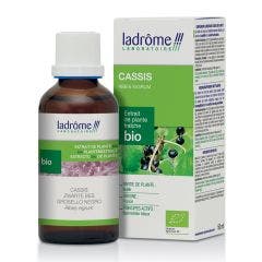 Estratto di pianta fresca di ribes nero biologico 50ml Ladrôme