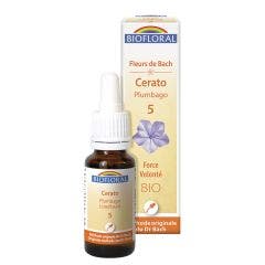 N. 5 Plumbago Organico Demeter Bach Flower Power Volonte 25ml Biofloral