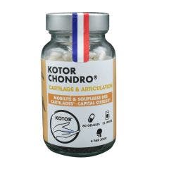 Chondro 60 gélules Cartilage et Articulation Kotor