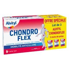 Chondroflex lot 3 mois 180 comprimés Alvityl