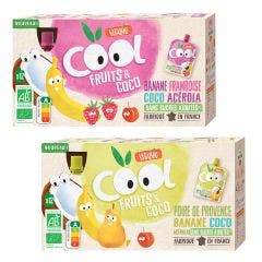 Gourdes Cool Fruits & Coco 12x85g Dès 4 Mois Vitabio