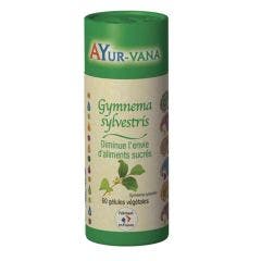 Gymnema sylvestris Bio 60 gélules diminue l'envie de sucré Ayur-Vana