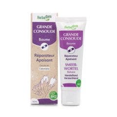 Baume Grande Consoude Bio 50ml Herbalgem