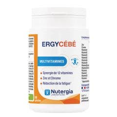 Ergycebe 90 Capsule 90 Gélules Multivitamines Nutergia