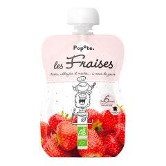 Gourde Bio 120g Fruits Dès 6 Mois Popote