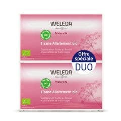 Tisana Allattamento Frutta Rossa 2x20 Bustine Maternite Weleda