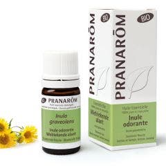 Inule Odorante Sommite Fleurie 5ml Les Huiles Essentielles Pranarôm