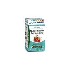 Queue De Cerise Reines Des Pres Drenanti 50 Geluli Juvamine