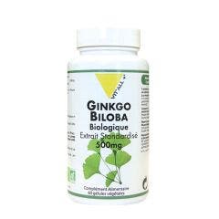 + Ginkgo Biloba Bio Extrait Standardise 60 Gelules 500mg Vit'All+