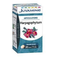 Harpagophytum Articulations 30 Comprimes Juvamine