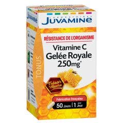 Gelee Royale + Vitamine C 50 Gelules Juvamine
