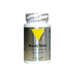 Basic Vital 60 Gelules Vit'All+