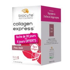 Collagen Express 3x10 Stick Biocyte