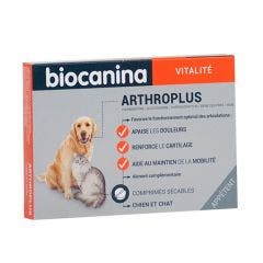 Arthroplus compresse appetibili per Cane e Gatto X40 Biocanina