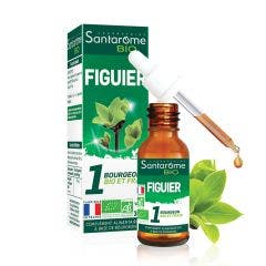 Bourgeon Figuier Bio 30 ml Santarome