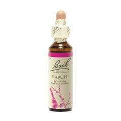 N°19 Larch 20ml Fleurs de Bach Original