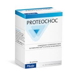 Proteochoc 36 Capsule Pileje