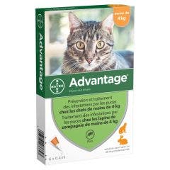 40 Gatti e Conigli di Piccola taglia Peso inferiore ai 4kg 6x0.4ml Advantage