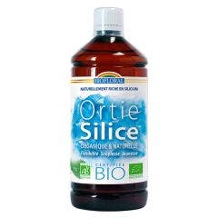 Ortie-silice Bevibile Integratore di Giovinezza Biologico 1l Biofloral
