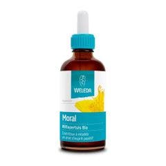 Millepertuis Bio Les Extraits De Plantes Moral 60ml Les Extraits de Plantes Bio Millepertuis Weleda