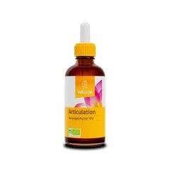 Giunto 60 ml Les Extraits de Plantes Bio Harpagophyton Weleda